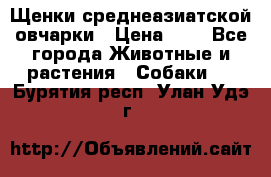 Щенки среднеазиатской овчарки › Цена ­ 1 - Все города Животные и растения » Собаки   . Бурятия респ.,Улан-Удэ г.